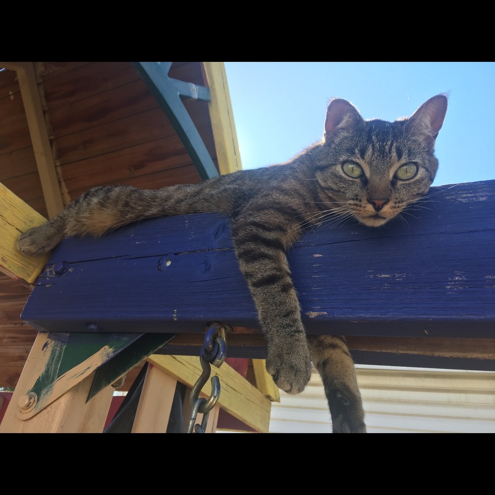 Meet your Posher, Jonathan